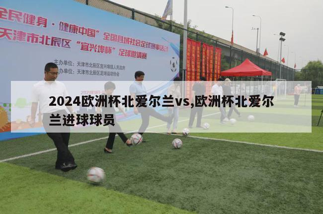 2024欧洲杯北爱尔兰vs,欧洲杯北爱尔兰进球球员