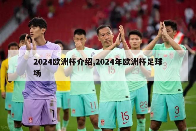 2024欧洲杯介绍,2024年欧洲杯足球场